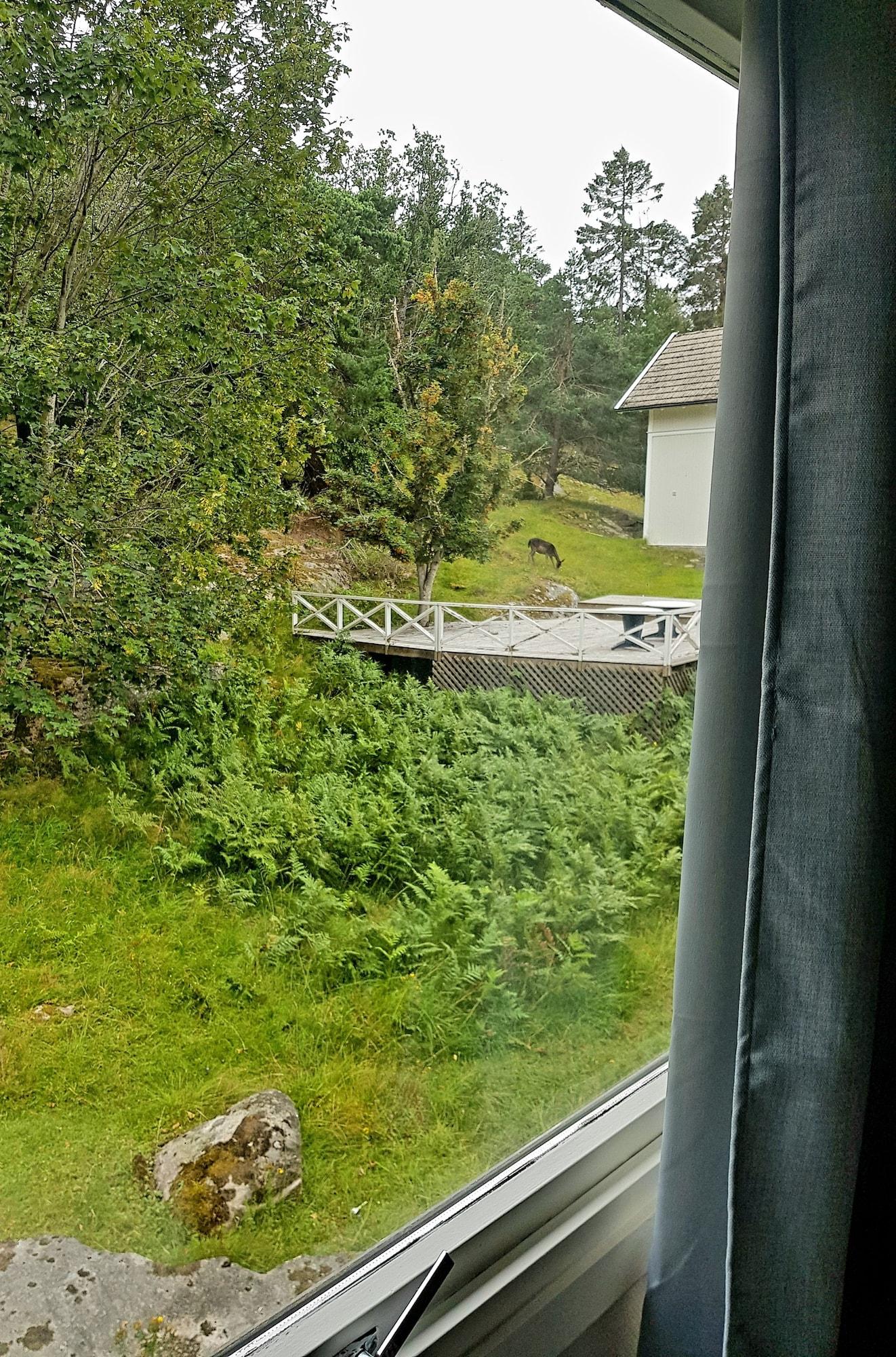 Hanko Fjordhotell And Spa Eksteriør billede